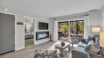 Smart TV, fireplace, books