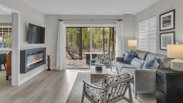 Smart TV, fireplace, books