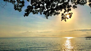 Beach - Daintree Manor Bed & Breakfast (Forest Creek)