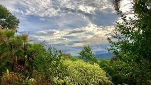 Garden - Daintree Manor Bed & Breakfast (Forest Creek)