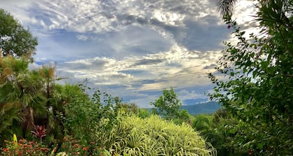 Daintree Manor Bed & Breakfast
