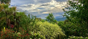 Daintree Manor Bed & Breakfast