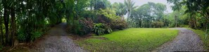 Jardí