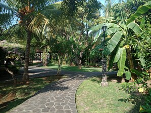 Standard Room (Fan) | Balcony view
