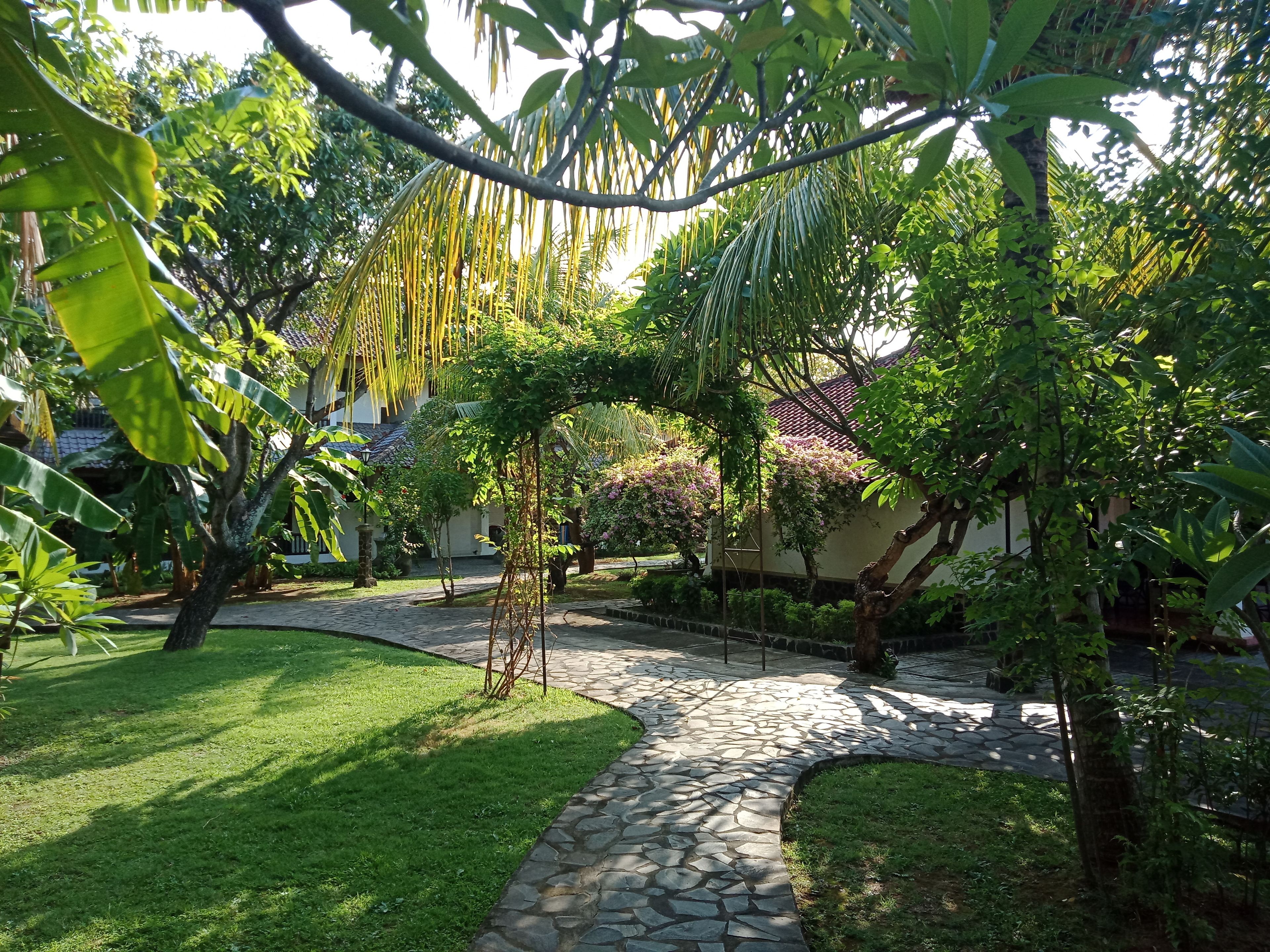A garden with a stone pathway, lush greenery, and a building in the background.