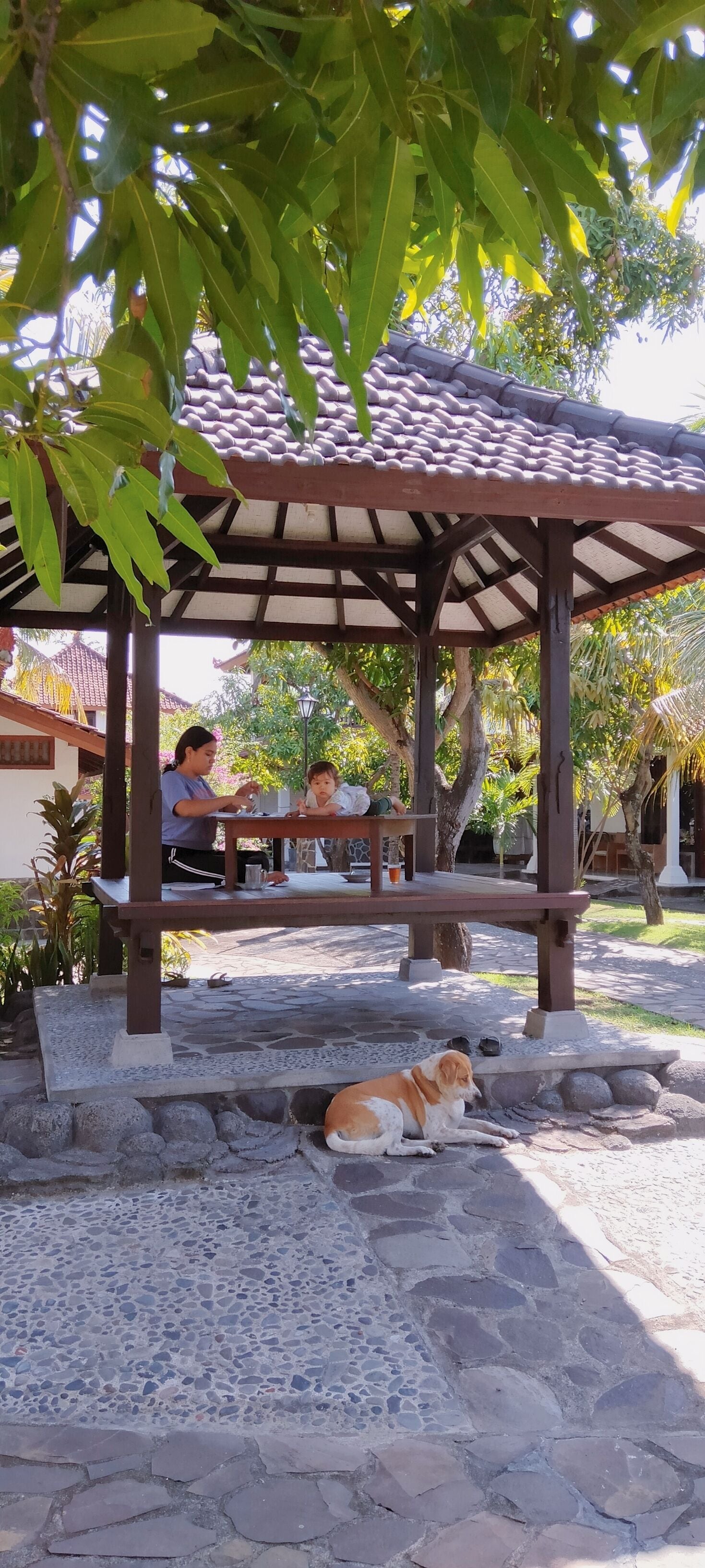A covered outdoor seating area with a stone-tiled floor, a wooden bench, and a dog lying nearby.