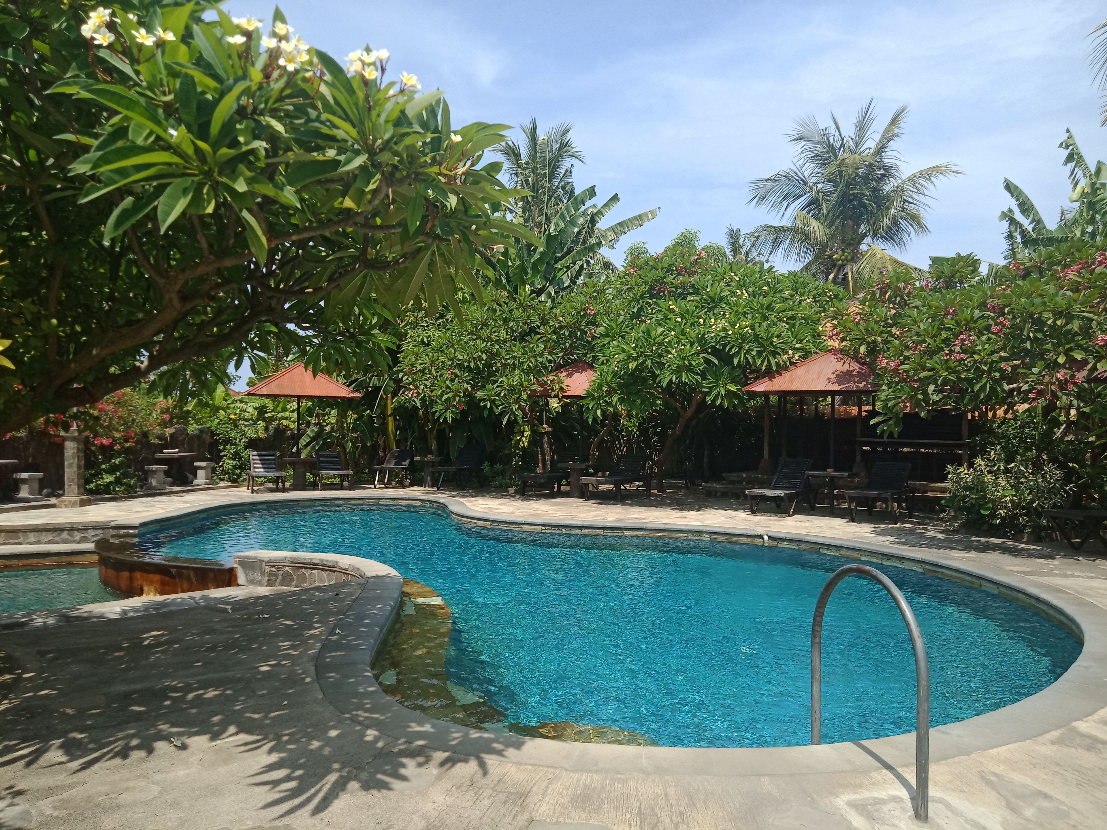 Un área de piscina con sillones de descanso y sombrillas, rodeada de abundante vegetación y palmeras.