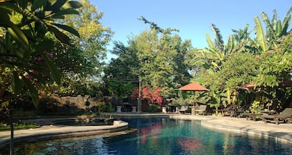 Rini Hotel