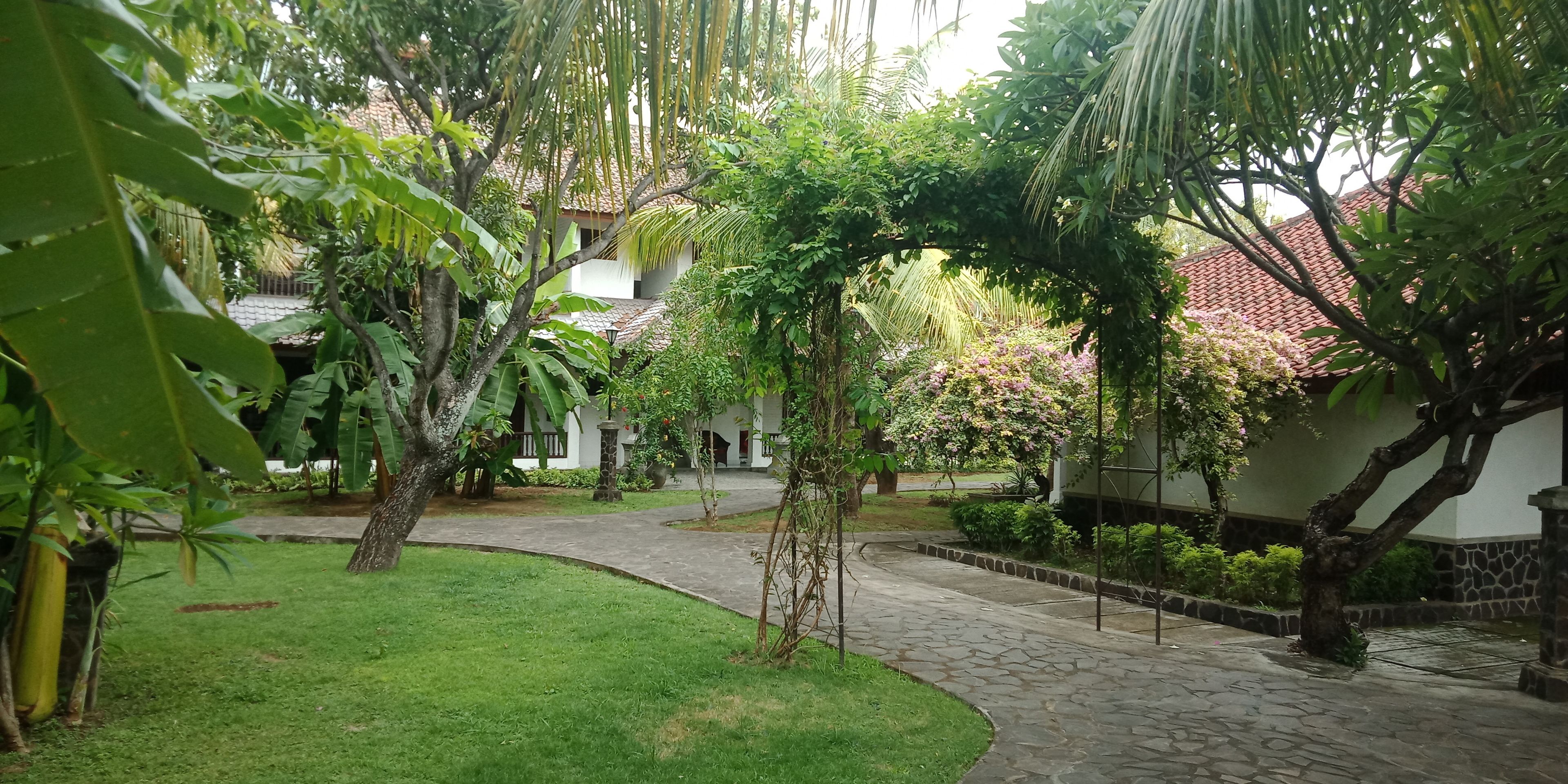 Un patio con un sendero de piedra, abundante vegetación y un edificio con techo de tejas.