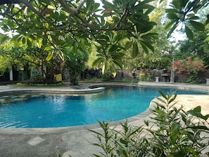A swimming pool surrounded by lush greenery and a stone wall. - Rini Hotel (Buleleng)