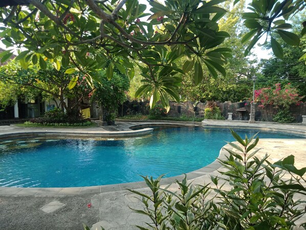 Outdoor pool - Rini Hotel (Buleleng)