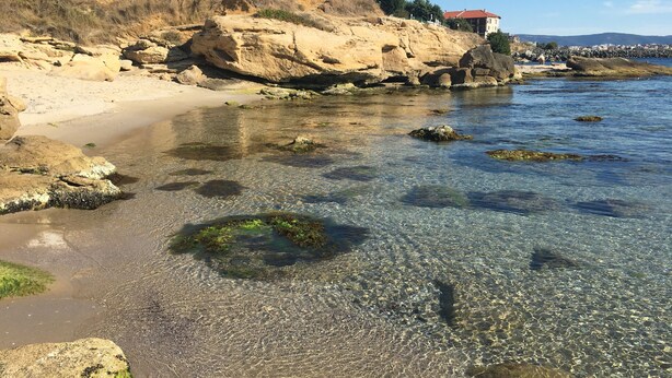 Une plage côtière aux eaux claires et peu profondes, parsemée de formations rocheuses, avec un bâtiment au toit rouge visible au loin.