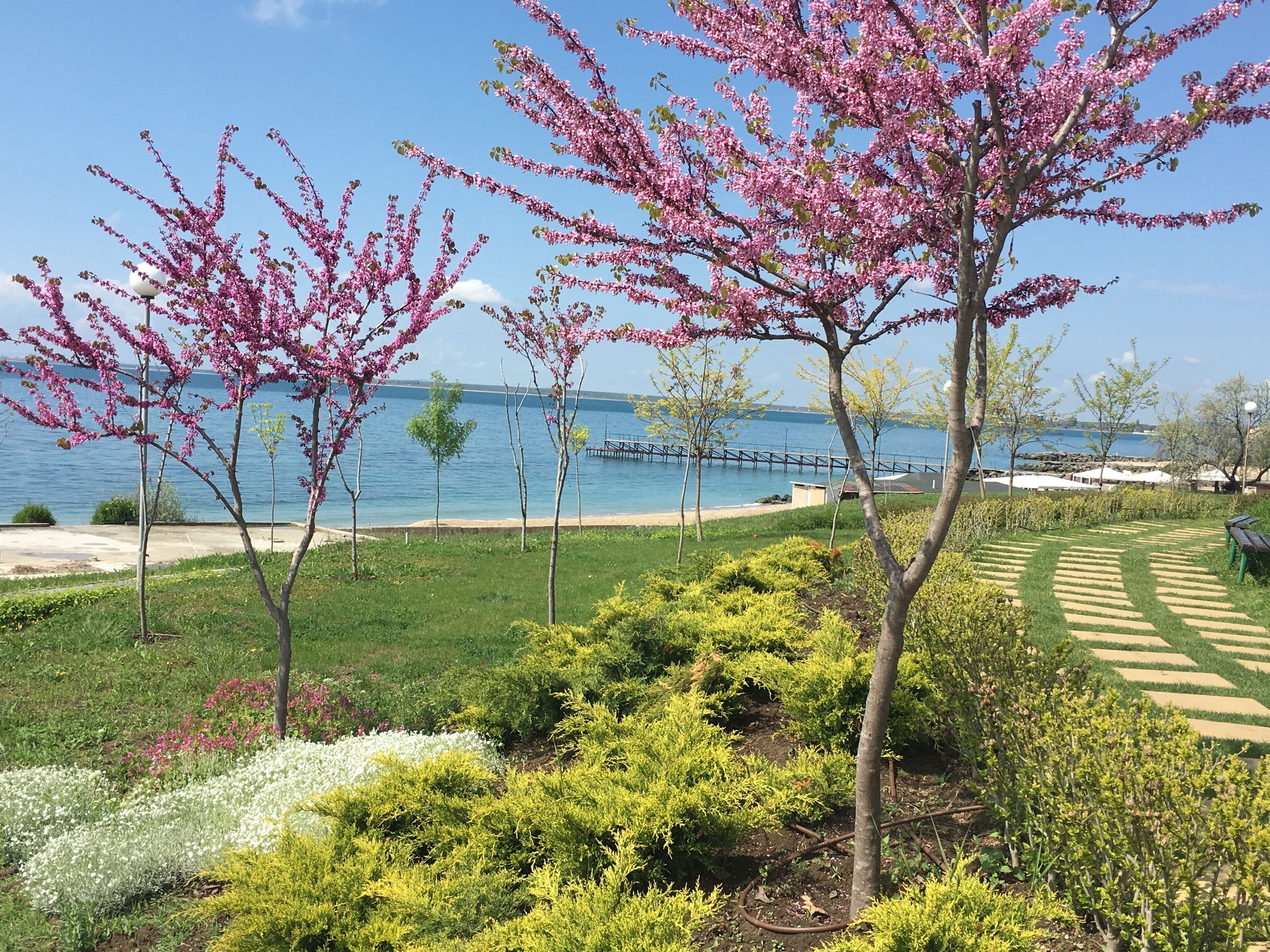 Overnatningsstedets område