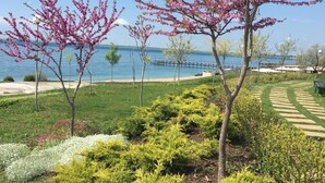Un jardin aménagé avec des arbres en fleurs, une vue dégagée sur la mer et un sentier pédestre.