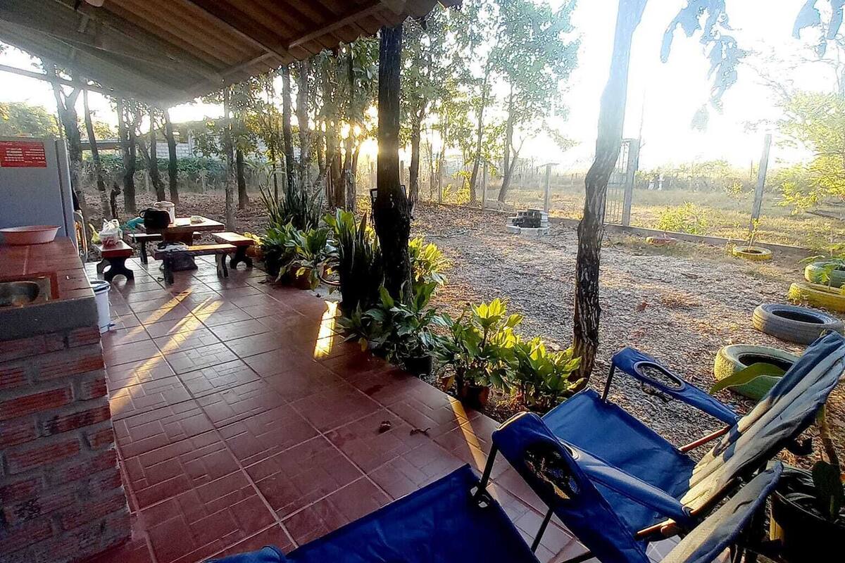An outdoor patio with tiled flooring, blue lounge chairs, and potted plants.