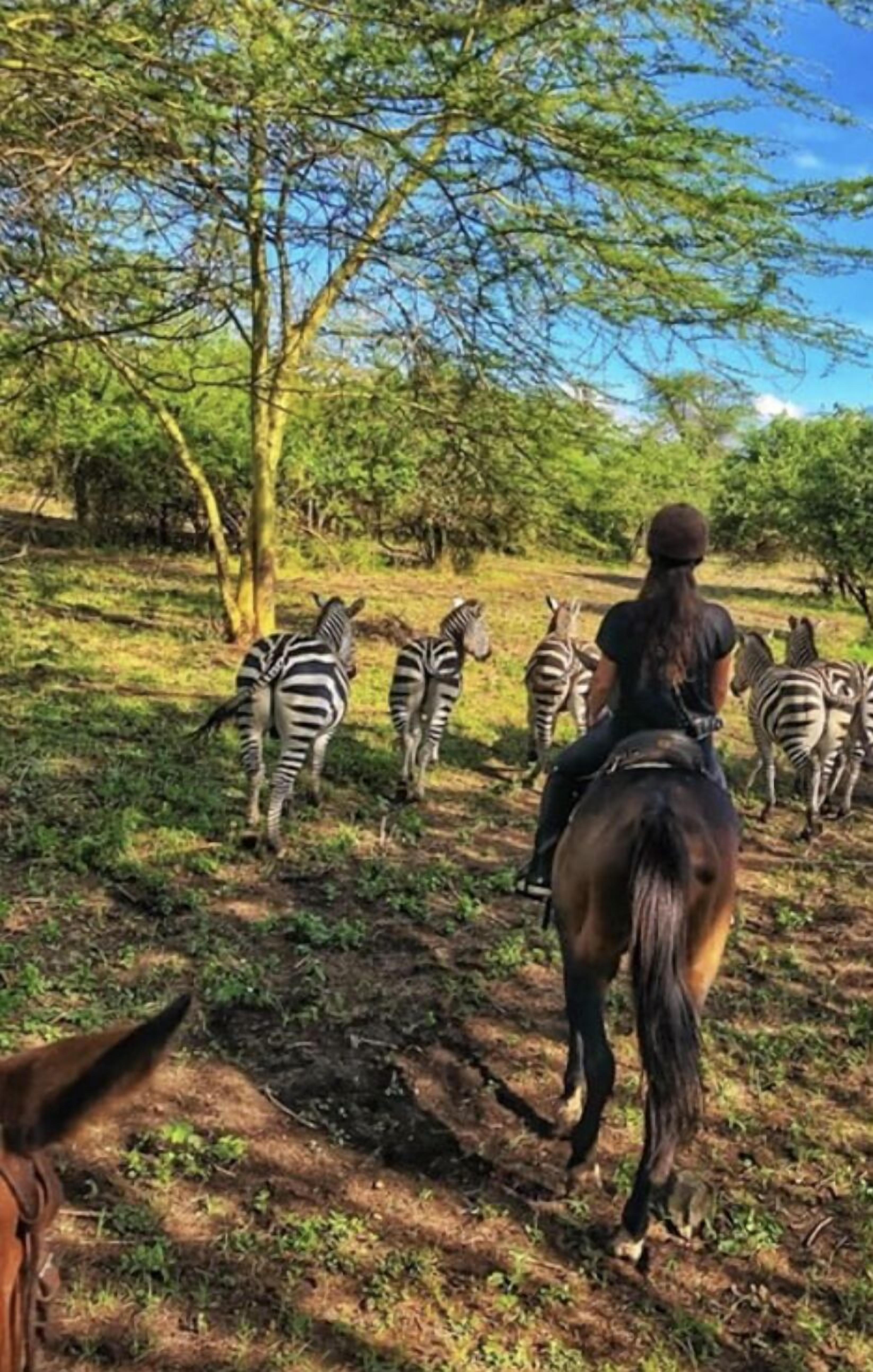 キリ ヴィラ Expedia提供写真