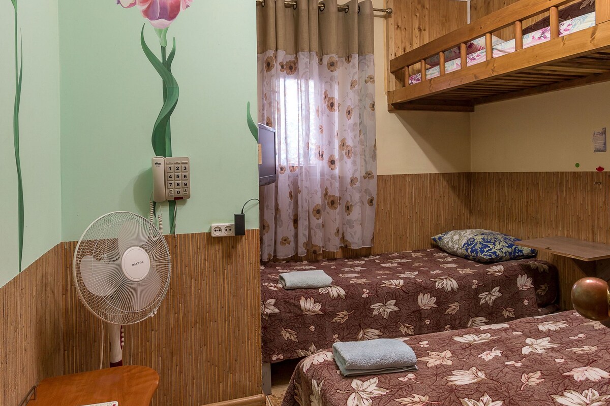 Une chambre avec deux lits, un bureau en bois, un ventilateur et une fresque murale à motifs floraux.