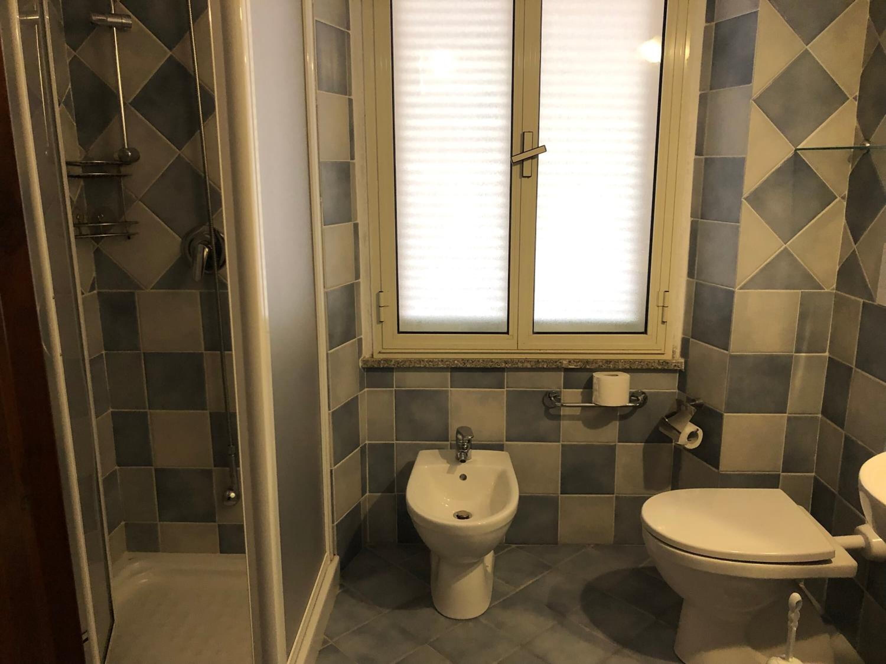 shower, hair dryer, bidet, towels