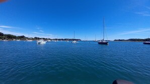 Ein Yachthafen mit mehreren Segelbooten, die in ruhigem Wasser vor Anker liegen.