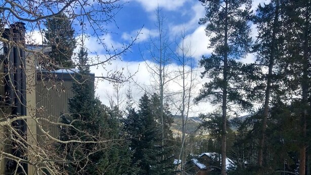Un paysage enneigé avec de grands arbres à feuilles persistantes et un bâtiment doté d’une cheminée.