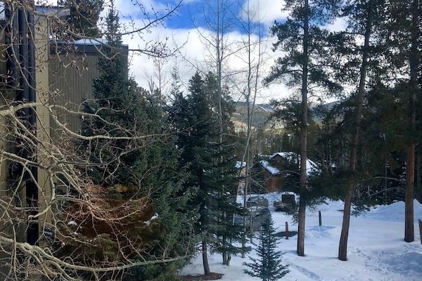 Terrain de l’hébergement