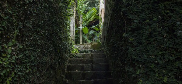 Property grounds - Between Lagoa and Paraiso do Sul Island, water natural source Vista Mountains (Florianopolis)