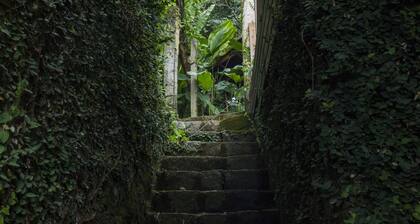 Between Lagoa and Paraiso do Sul Island, water natural source Vista Mountains
