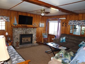 Smart TV, chimenea, reproductor de DVD y libros