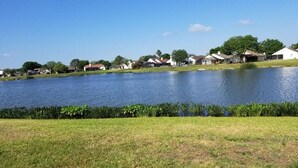 A lakeside view with houses and a grassy area in the foreground. - Spacious & amazing lake view with pool.  (Brandon)