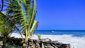 Beach - Blue Mango Beach Hotel (Santa Marta)
