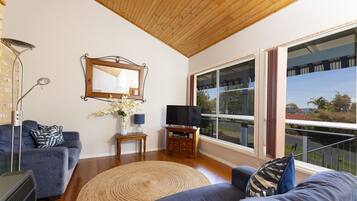 智能電視、壁爐、DVD 播放機、書籍