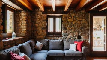 Smart TV, fireplace, DVD player, books