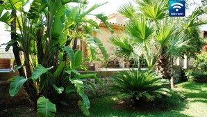 A lush garden with various tropical plants and a sign indicating free wifi. - High Quality Designer Detached Villa from Artist Sculptor owner Miquel Cerda (Pollensa)