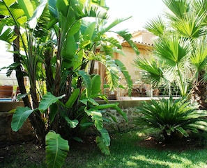 Un jardin luxuriant, parsemé de différentes plantes tropicales, et une pancarte indiquant que le Wi-Fi est disponible gratuitement.