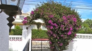 Uma entrada pavimentada com um portão de metal, cercada por paredes brancas e um arbusto florido.