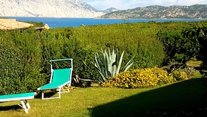 Ein Garten mit einer grünen Bank, einer großen Agave und gelben Blüten.