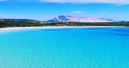Cala Paradiso, Capo Coda Cavallo, plage Ă 150m, amarrage bateau, balade Zodiac.