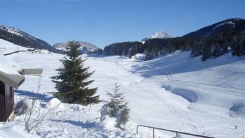A snowy mountain landscape with a ski trail, a wooden cabin, and a snow-covered pine tree.