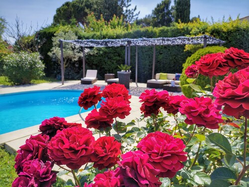 Charming house surrounded by vineyards 