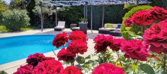 Charmant huis omgeven door wijngaarden 