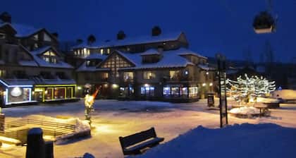 Ski-in, Ski-out; 3BR + Loft 3. 5BA, Beinhaltet unbegrenztes Skifahren fĂŒr 2 Personen.