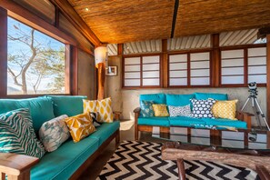 Smart TV, video games, DVD player, books