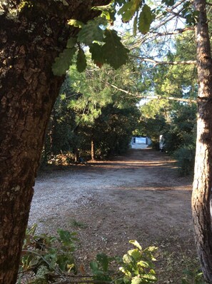 Property grounds - House 6-8 people 300 m from the main beach and wooded fenced not overlooked (Saint-Georges-D'oléron)