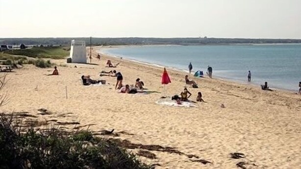 A beach with people sunbathing and walking along the shore. - Martha's Vineyard 1BR, Pets Ok, 10 Min walk to beach or Edgartowns shops! (Edgartown)