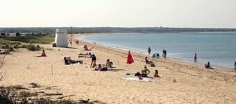 Martha's Vineyard 1BR, Pets Ok, 10 min gang til stranden eller Edgartowns butikker!