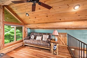 Smart TV, fireplace, DVD player, books