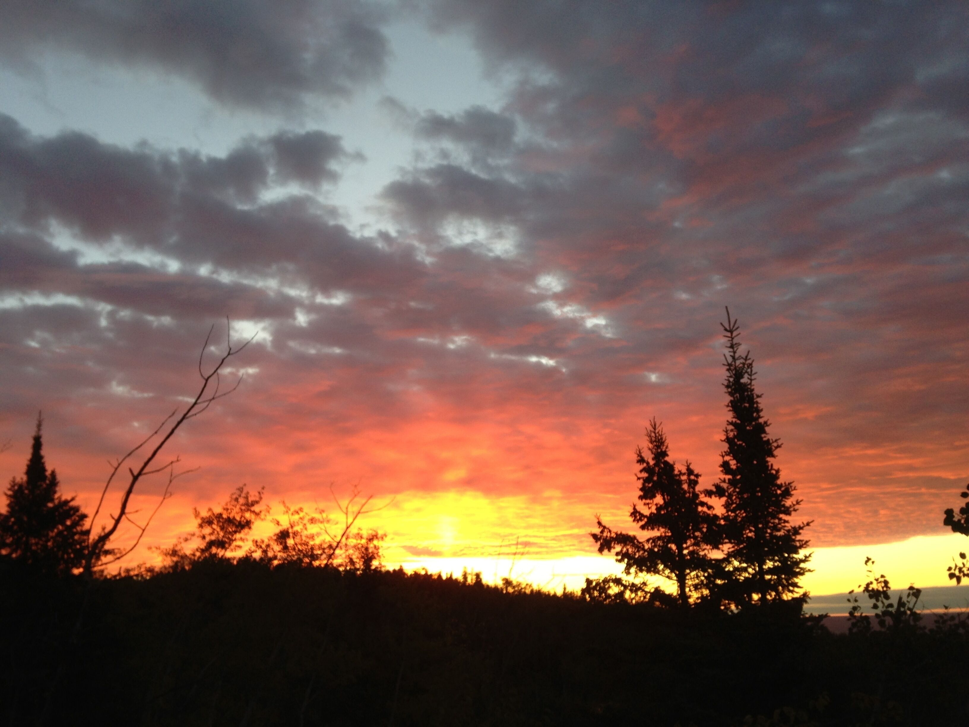 A sunset with a silhouette of trees and a cloudy sky.