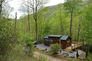 Exterior - The Junction-backwoods tiny home on brook trout stream with mountain ridge view (Robbinsville)