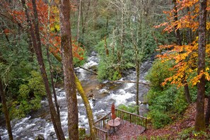 Property grounds - The Junction-backwoods tiny home on brook trout stream with mountain ridge view (Robbinsville)
