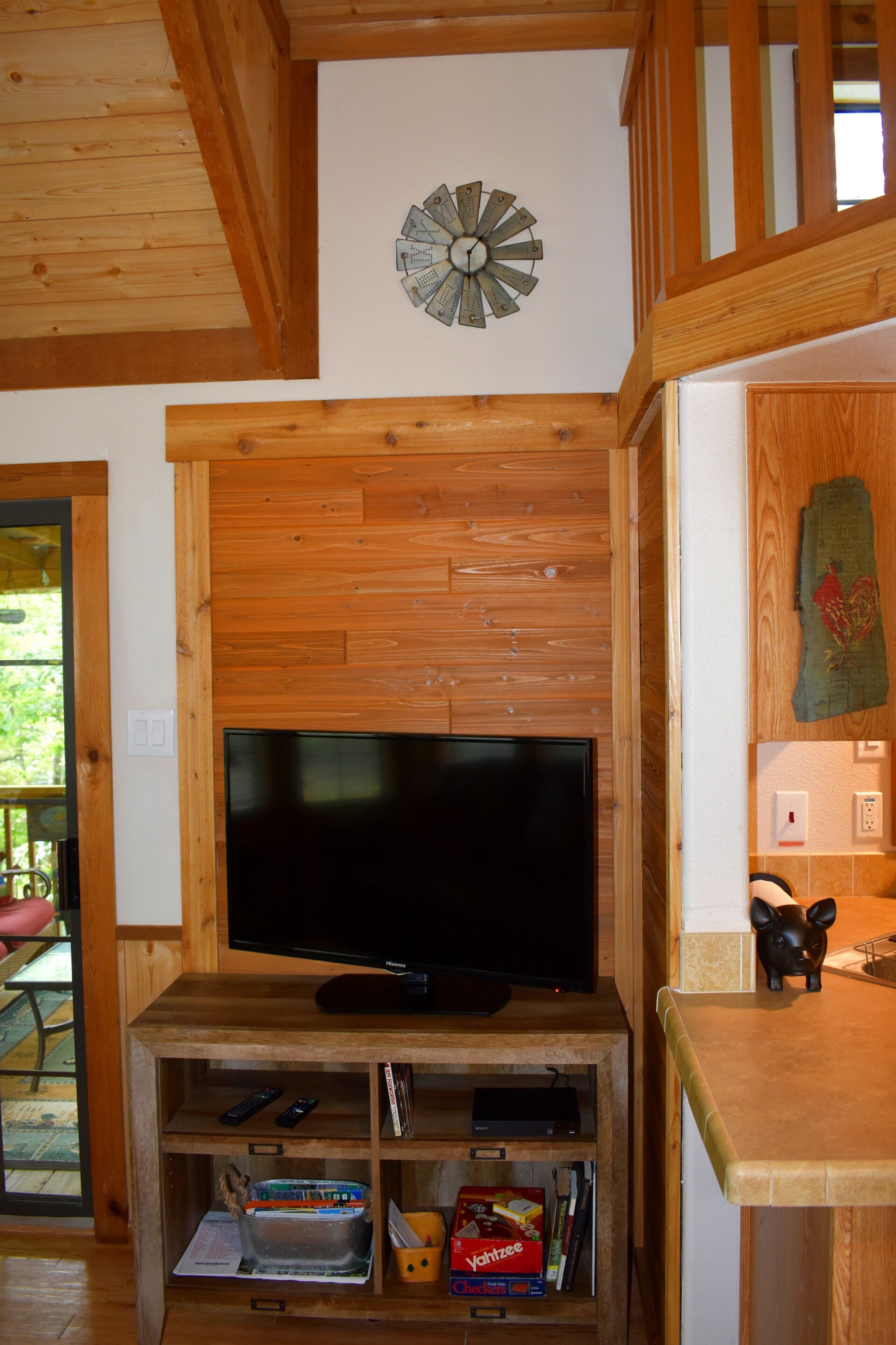 TV, DVD player, books, video library